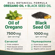 NutraVora Oil of Oregano with Black Seed Oil Softgels – 7500mg – 300 Count | 5-Month Supply